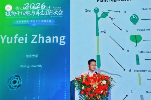 图片 33.jpg