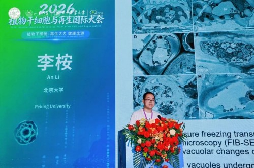图片 35.jpg