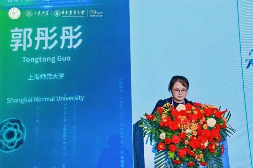 图片 36.jpg