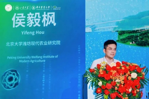图片 39.jpg
