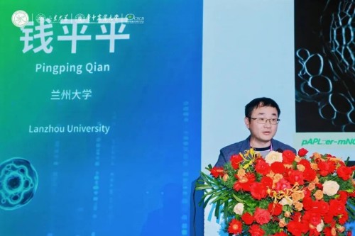 图片 42.jpg