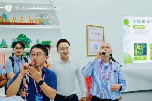 图片 50.jpg