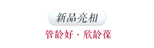 图片 12.png