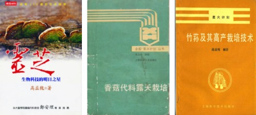 图片 6.jpg