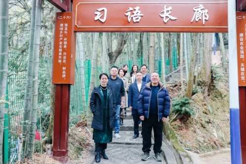 图片 10.jpg