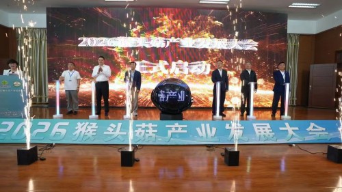 图片 2.jpg