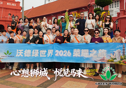 图片 9.png
