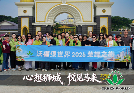 图片 10.png