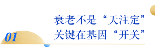 图片 4.png