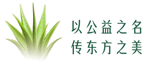 图片 8.png