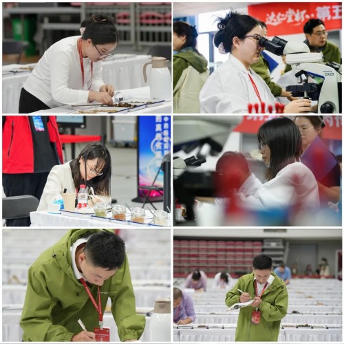 图片 2.jpg