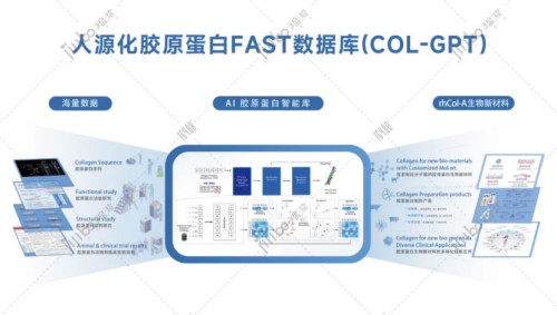 图片 4.jpg