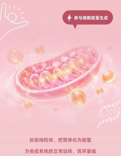 图片 5.jpg