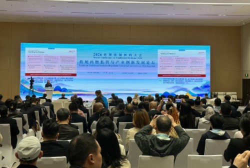 图片 4.jpg