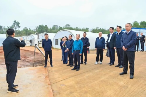 图片 1.jpg