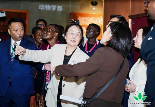 图片 2.jpg