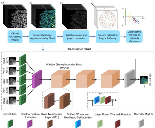 无限极三个“敢于”理论开启中草药健康产品自主创新研发之路(图6)